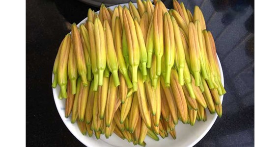 用黃花菜烘干機(jī)烘干后的黃花菜好吃嗎？