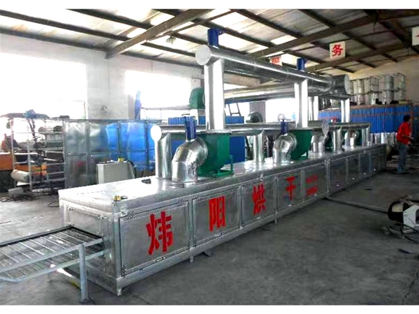 Ice cream stick mesh belt dryer
